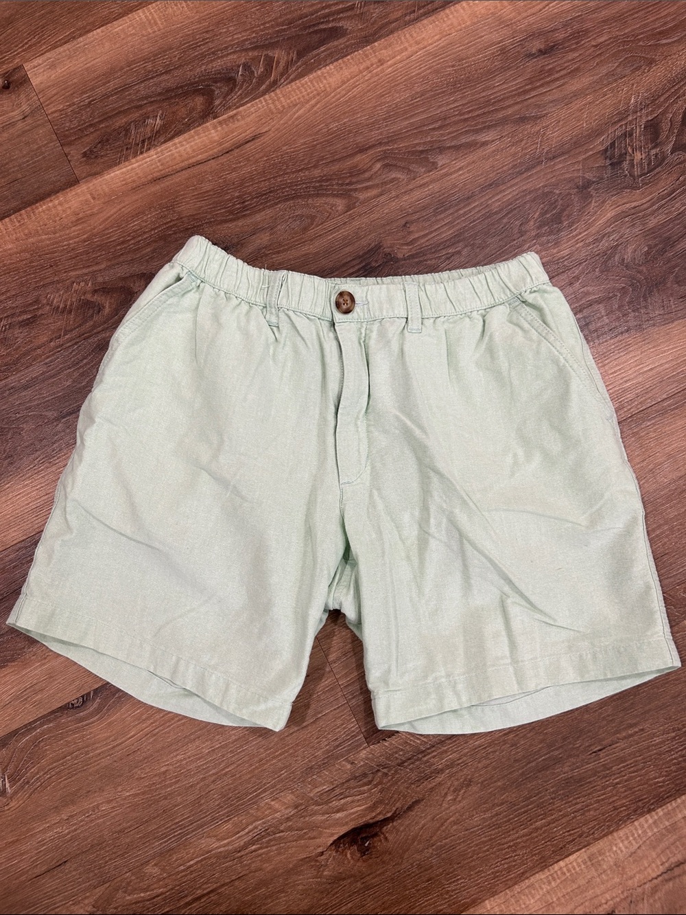 Chubbies Authentic AF 7” inseam shorts - Medium men’s mint green